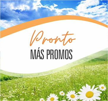 Web Promo